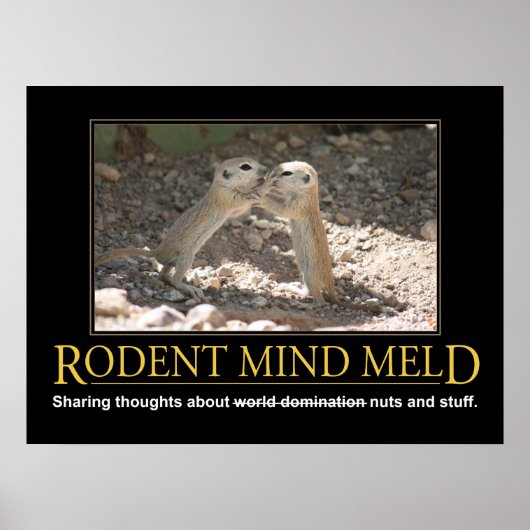 Demotivationeel Poster: Squirrel Mind Meld Poster (Voorkant)