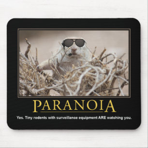 Demotivationele mousepad: Paranoia Muismat