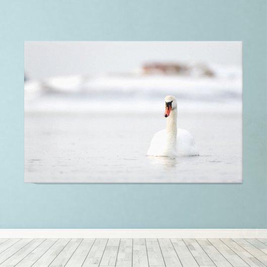 Dempende zwanen zwemmen in ijswater canvas afdruk (Insitu (Houten vloer))