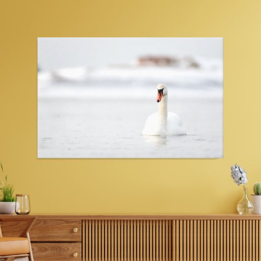 Dempende zwanen zwemmen in ijswater canvas afdruk (Insitu (Woonkamer))