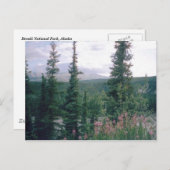 Denali, Alaska Briefkaart (Voorkant / Achterkant)