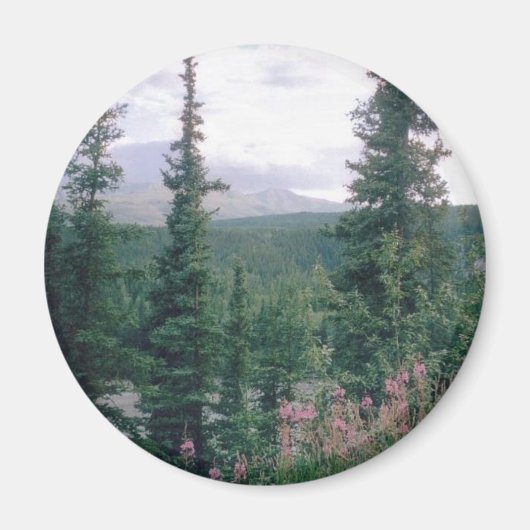 Denali - Alaska Magneet (Voorkant)