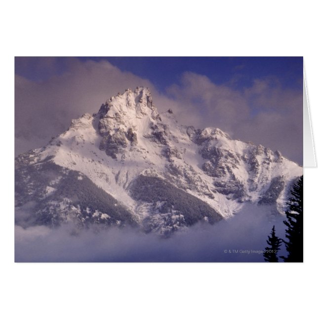 Denali-bergketen, Alaska (Voorkant Horizontaal)