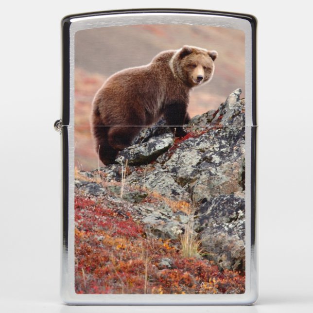 Denali Brown Beer (Voorkant)