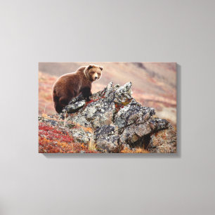Denali Brown Beer Canvas Afdruk