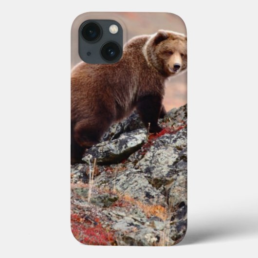 Denali Brown Beer Case-Mate iPhone Case (Achterkant)