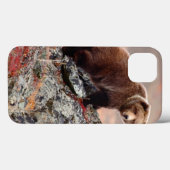 Denali Brown Beer Case-Mate iPhone Case (Achterkant (horizontaal))