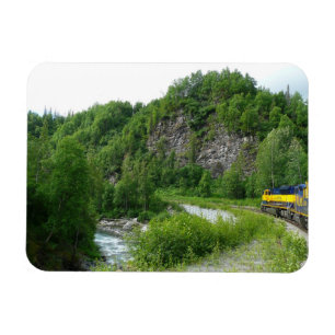 Denali Express Alaska Trein Vakantie Fotografie Magneet