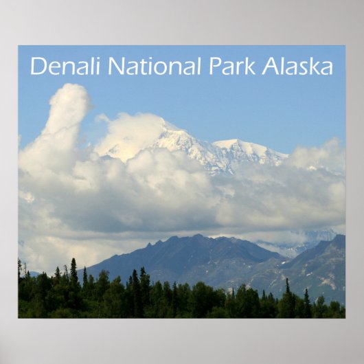 Denali National Park Poster (Voorkant)