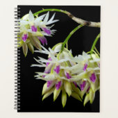 Dendrobium Amethystoglossum Planner (Voorkant)