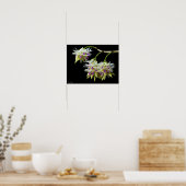 Dendrobium Amethystoglossum Poster (Keuken)
