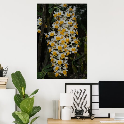 Dendrobium Densiflorum Poster (Thuiskantoor)
