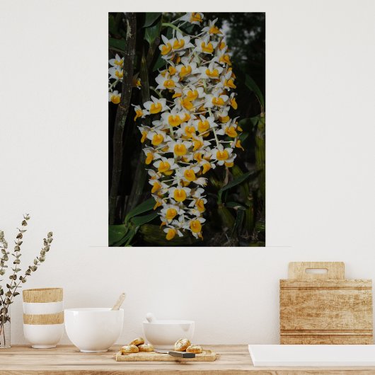Dendrobium Densiflorum Poster (Keuken)