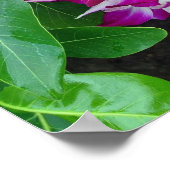 Dendrobium Orchid Lei Poster (Hoek)