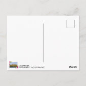 Denemarken, Marens Patter Ansichtkaart! Briefkaart (Achterkant)