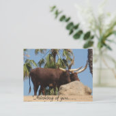 Denk aan Afrikaanse Watusi runderen Briefkaart (Staand voorkant)