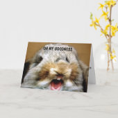 DENK AAN ALLE NACHTEN OVER DE HEUVEL KAART (Gele Bloem)