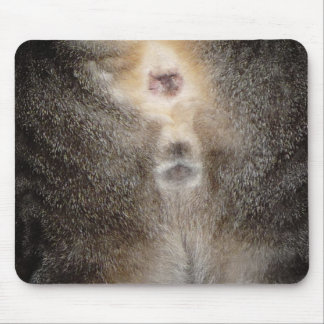 Denk aan Cat Mousepad. Muismat