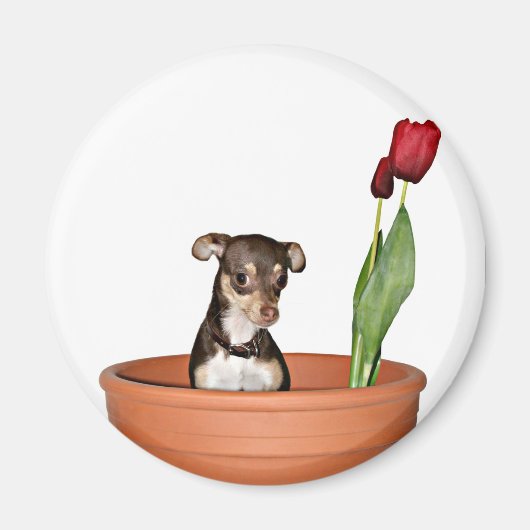 Denk aan de lente! magneet (Voorkant)