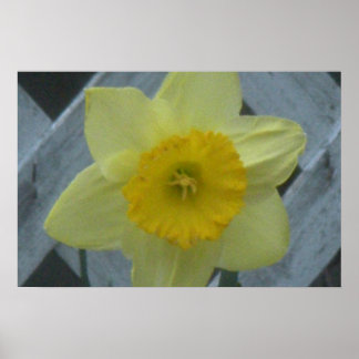Denk aan de lente! poster