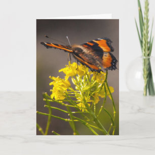 Denk aan de Tortoiseshel Butterfly van je Milbert Kaart