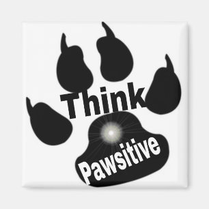 Denk aan een powsitief/pet magneet