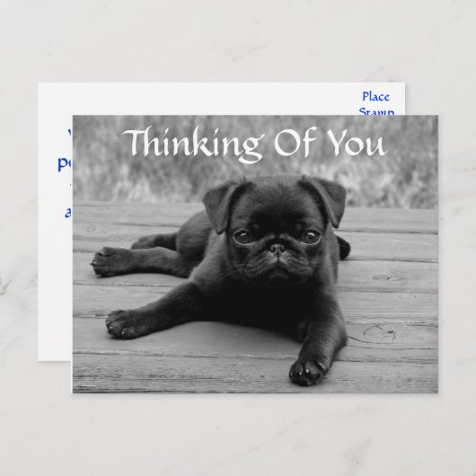 Denk aan het Briefkaart van uw pug-puppy Dog (Vers (Voorkant / Achterkant)