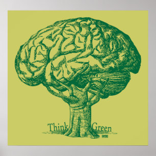 Denk aan het Poster van de Groene Boom