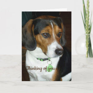 Denk aan je Beagle Card Kaart