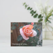 Denk aan je Briefkaart (Staand voorkant)