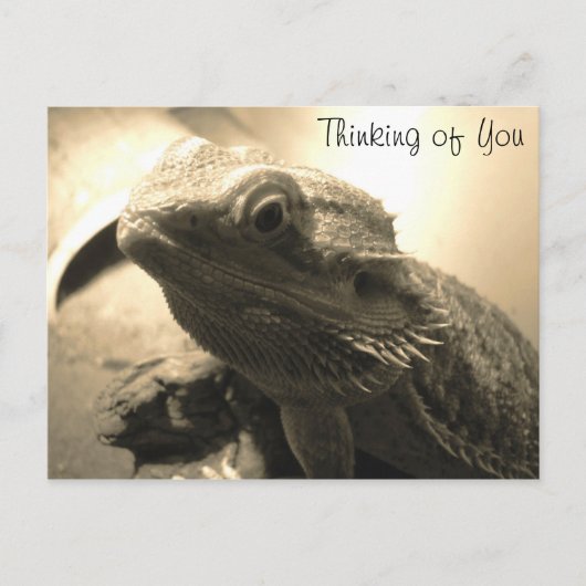 Denk aan je Briefkaart (Voorkant)