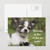 Denk aan je Chihuahua Briefkaart (Voorkant / Achterkant)