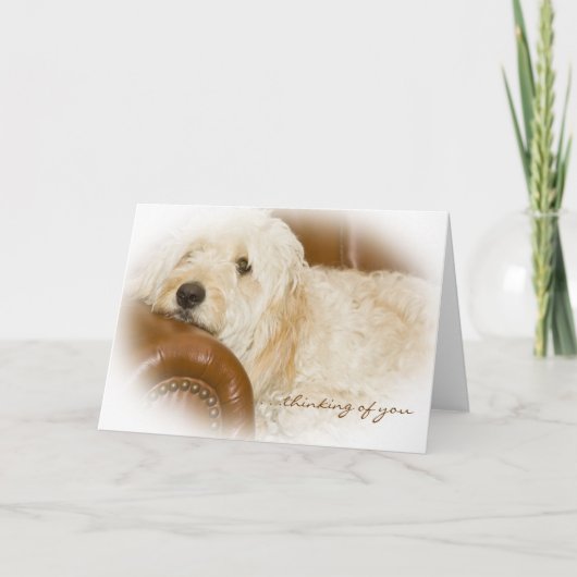 Denk aan je dromen - Dreamweaver Dog Resting Kaart (Voorkant)