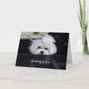 Denk aan je gevouwen kaart