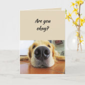 Denk aan je grappige Dog Nose dat het Ruff was Kaart (Gele Bloem)