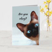 Denk aan je grappige kat, laat me weten dat je in kaart (Gele Bloem)