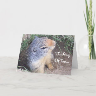 Denk aan je Groundhog Kaart