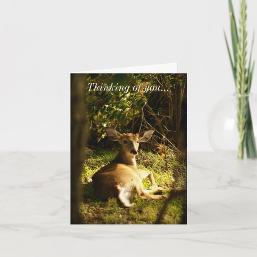 Denk aan je jonge bok in de weide kaart (Voorkant)