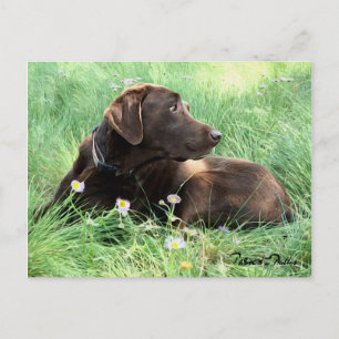 Denk aan je Labrador Retriever Purple Flowers Briefkaart
