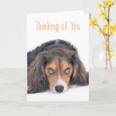 Denk aan je - Mooie hond met zielige ogen Kaart (Gele Bloem)