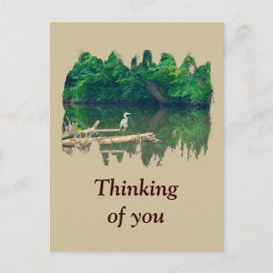 Denk aan je ochtend bij de Creek Briefkaart