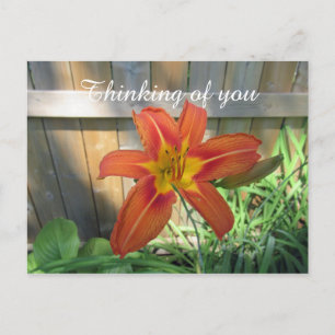 Denk aan je Oranje Lily Floral fotografie Briefkaart