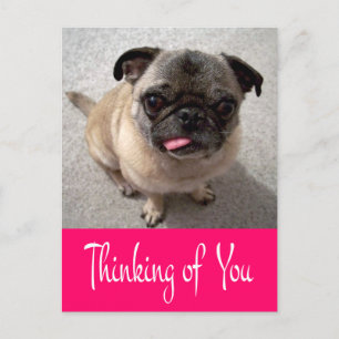 Denk aan je Pug Puppy Dog Greeting Post Card Briefkaart