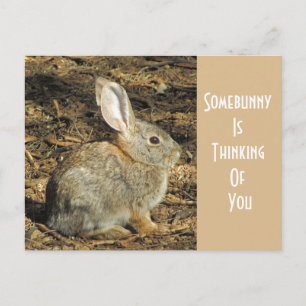 Denk aan je Schattige Wild Brown Bunny Briefkaart