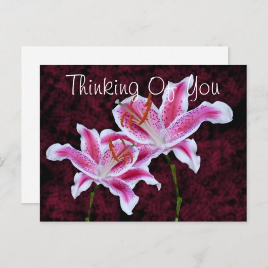 Denk aan je Stargazer Lily Foto Aangepast Briefkaart (Voorkant / Achterkant)