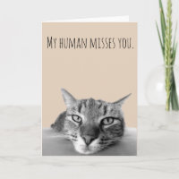 Denk aan je, van kat grappig