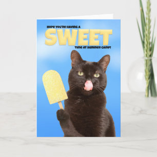 Denk aan je zomerkamp... wil een grappige kat. feestdagen kaart