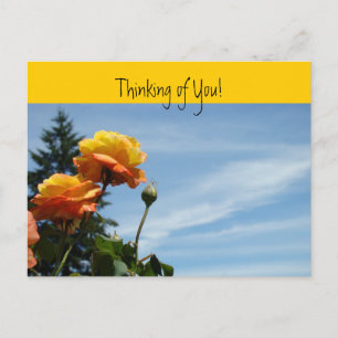 Denk aan jou ansichtkaarten Oranje Rozen Tuin Briefkaart