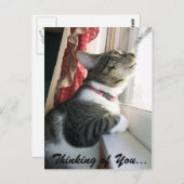 Denk aan jou... briefkaart (Voorkant / Achterkant)