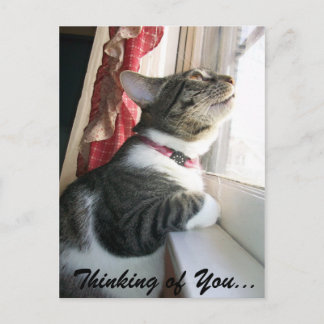 Denk aan jou... briefkaart